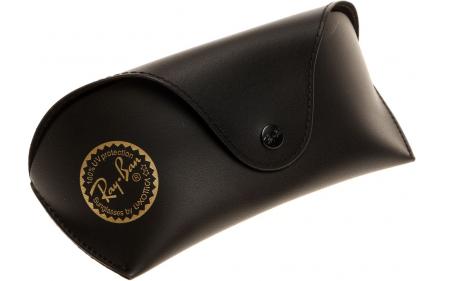 ray ban cover case