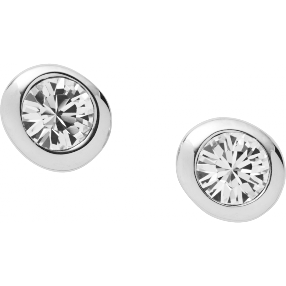 Dkny stud sale earrings
